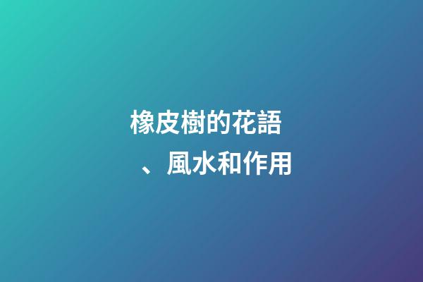 橡皮樹的花語、風水和作用